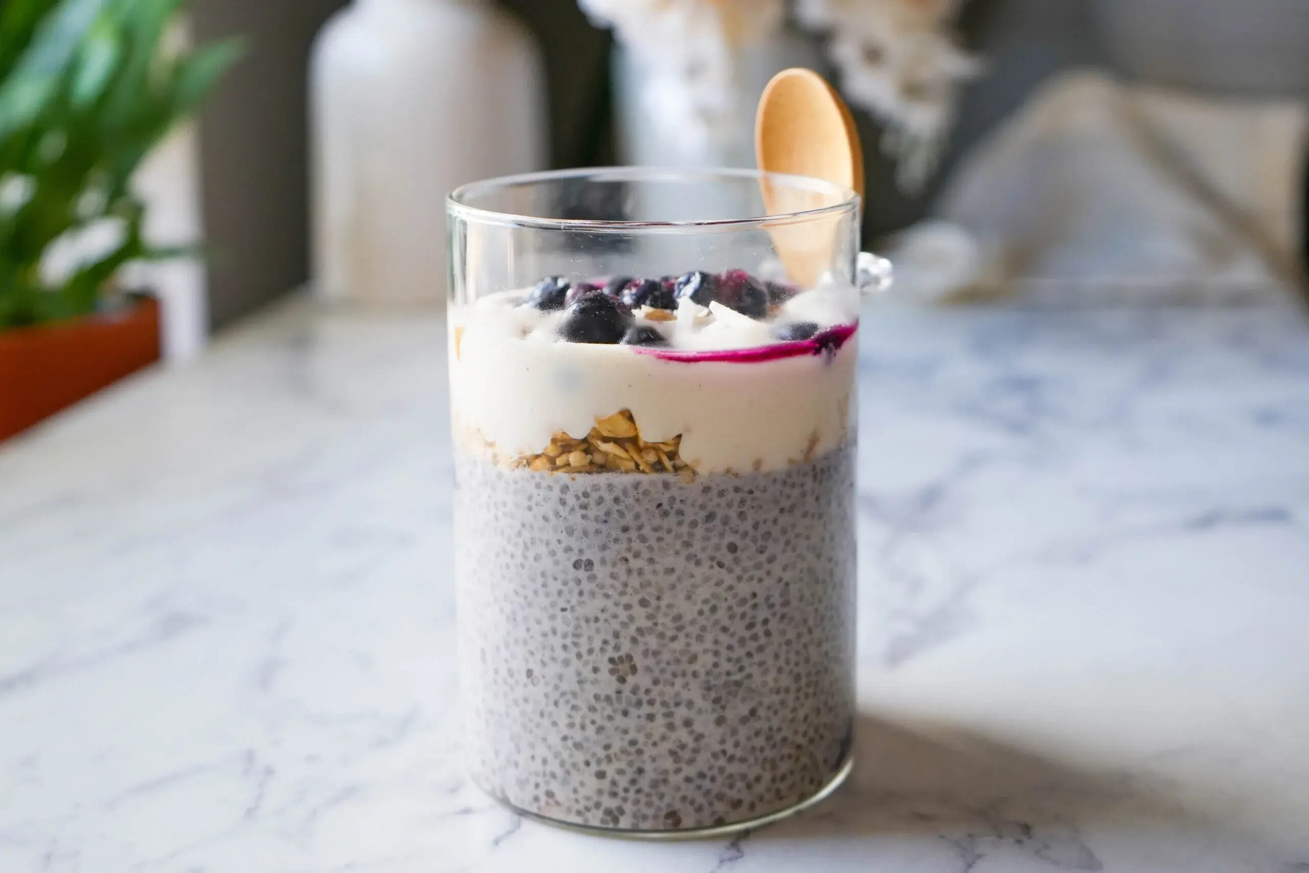 chia-milk-recipe